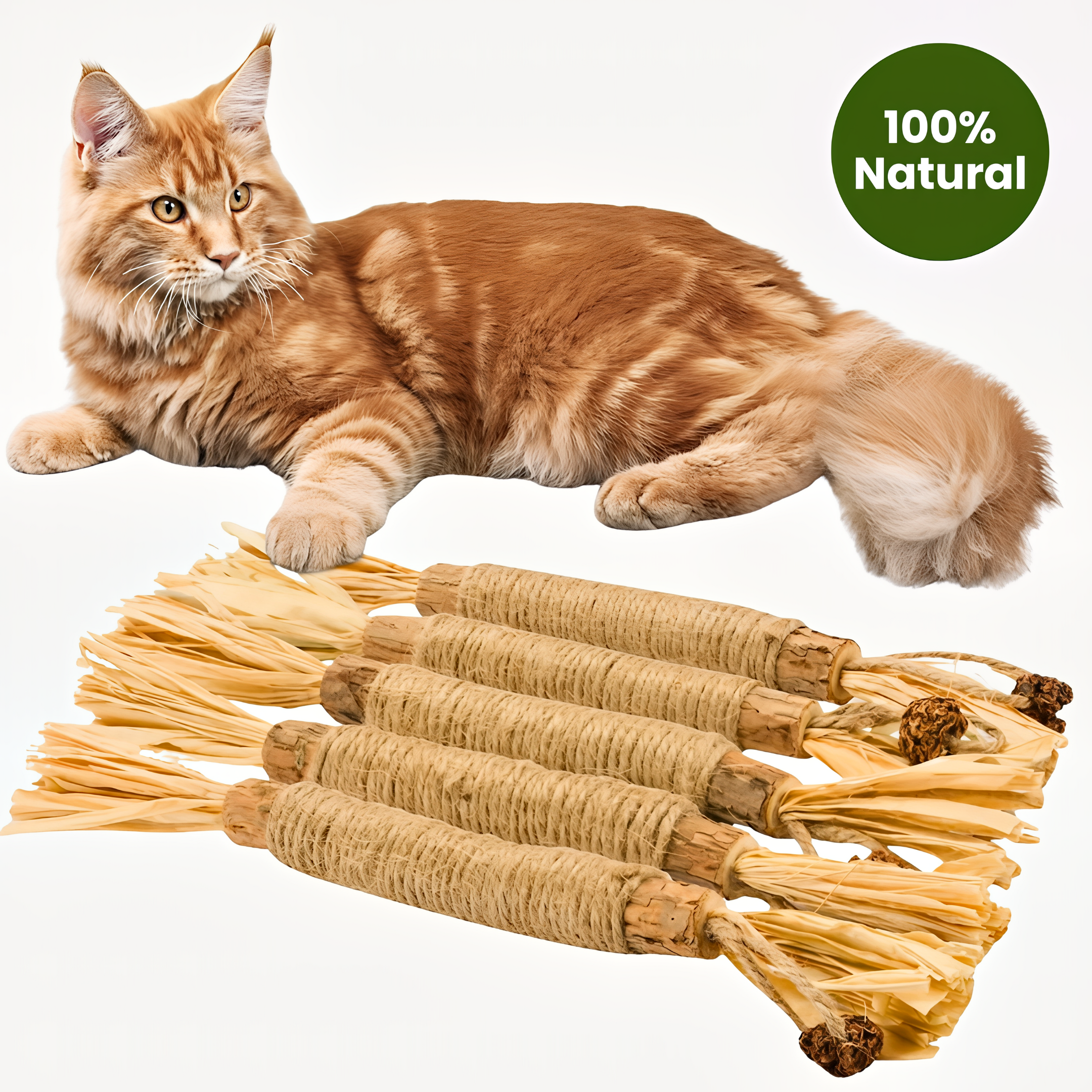 Renvia Natural Silvervine Dental Sticks