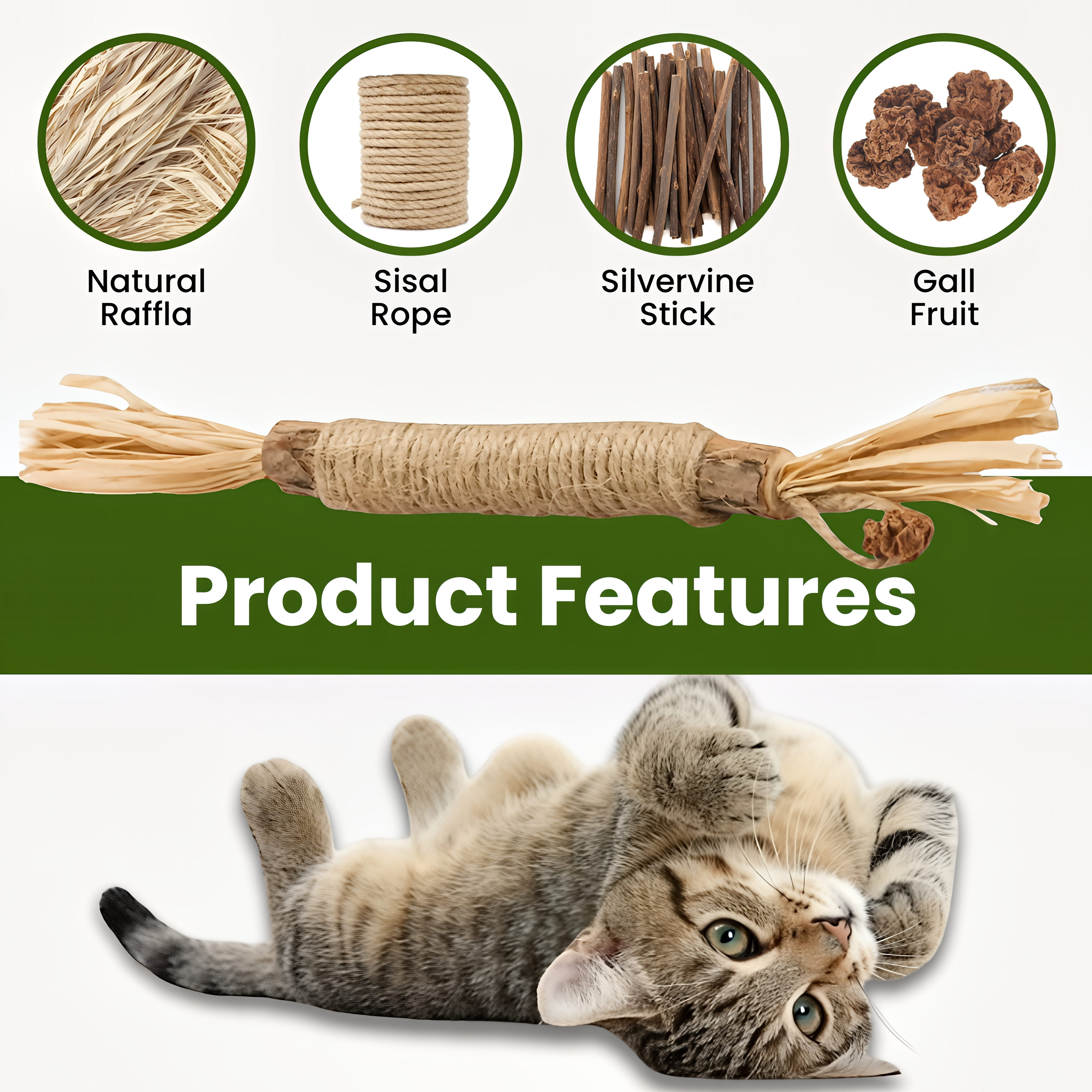 Renvia Natural Silvervine Dental Sticks