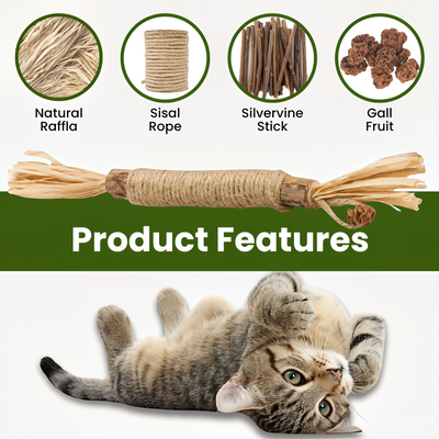 Renvia Natural Silvervine Dental Sticks
