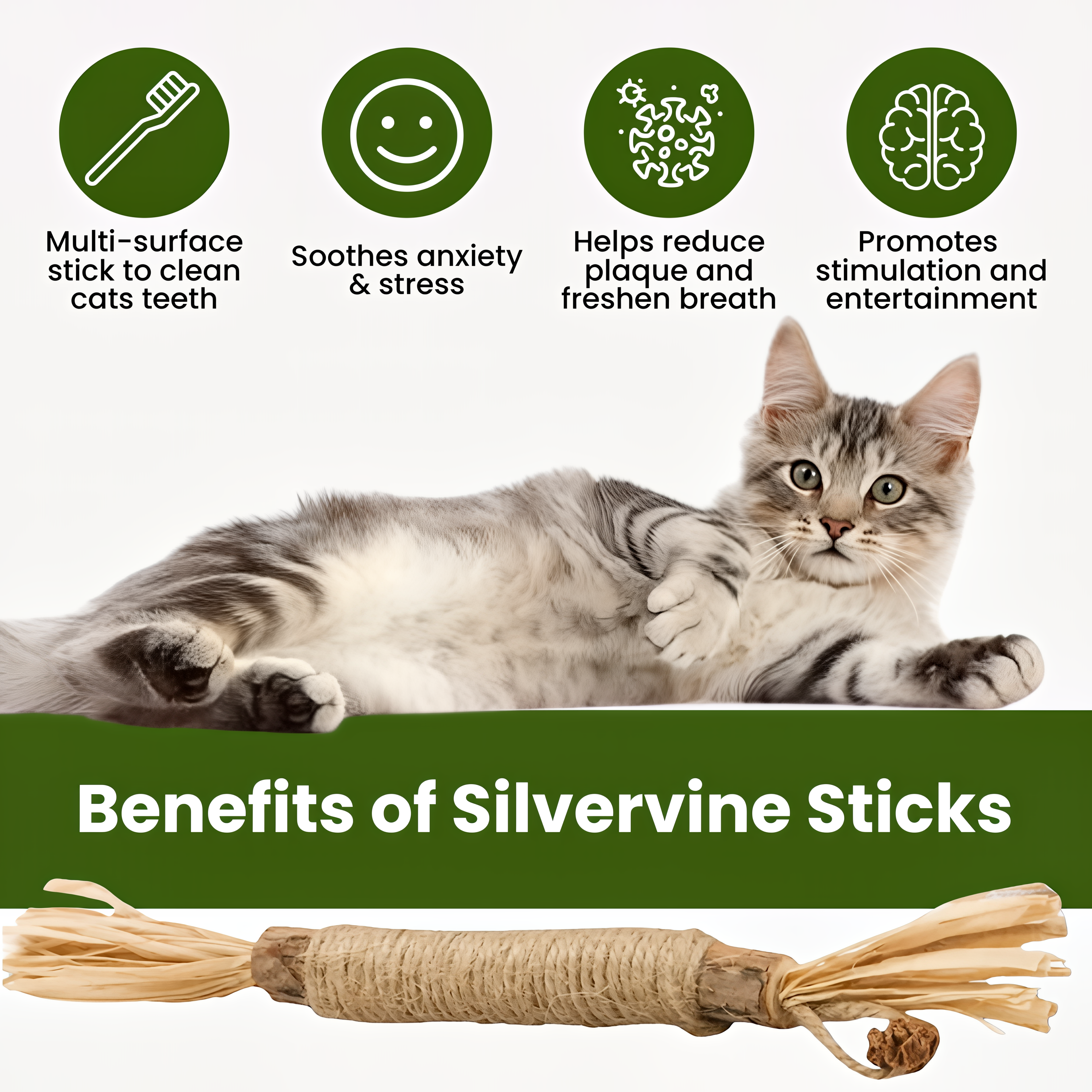 Renvia Natural Silvervine Dental Sticks