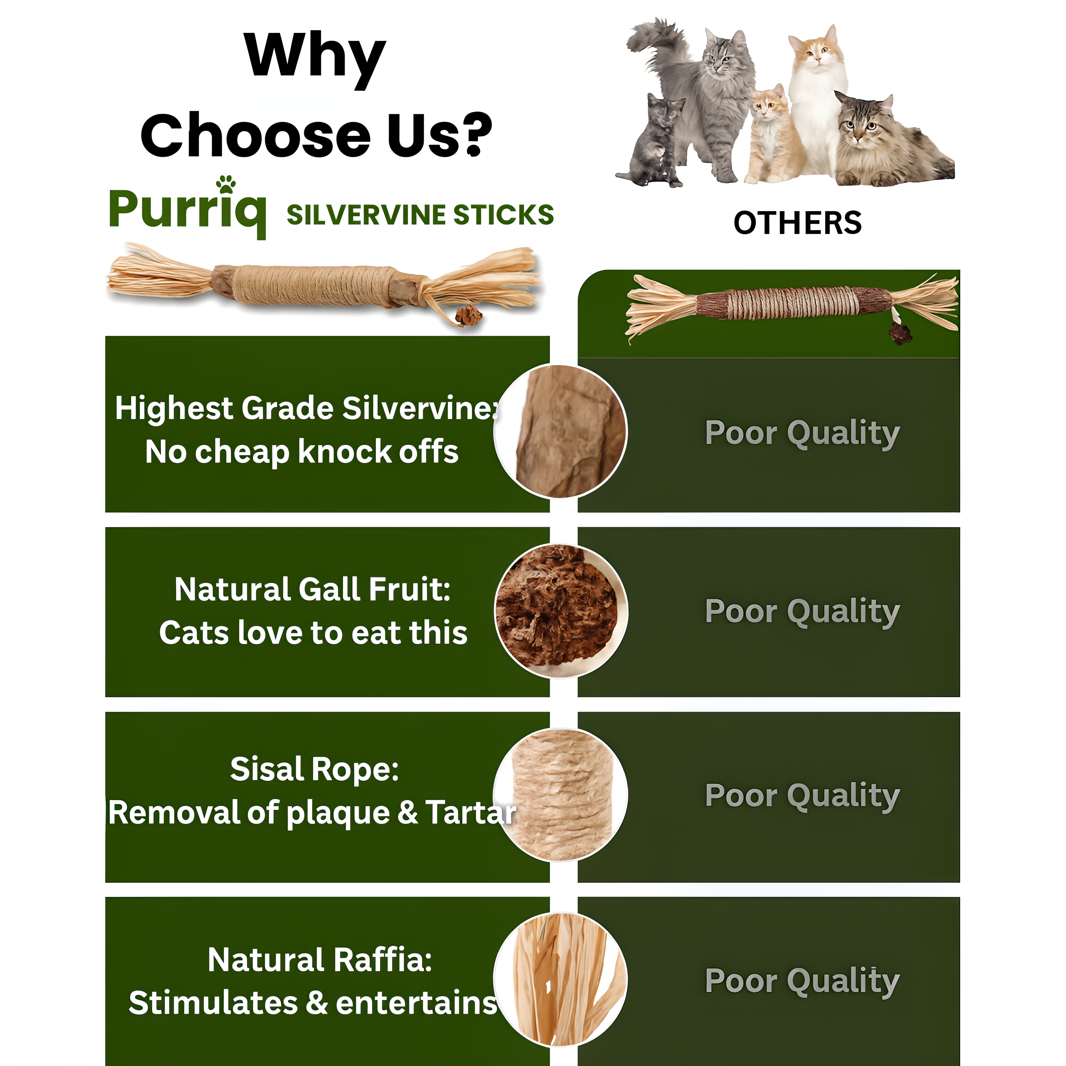 Renvia Natural Silvervine Dental Sticks