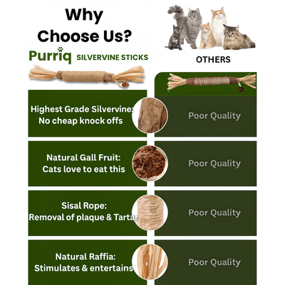 Renvia Natural Silvervine Dental Sticks