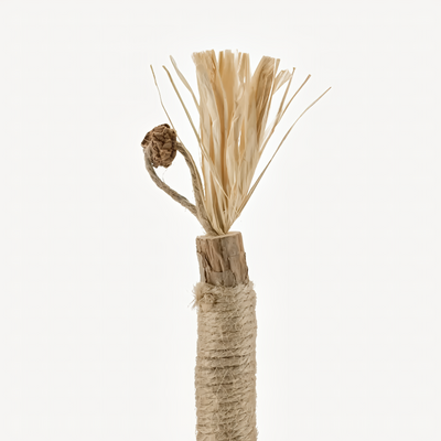 Renvia Natural Silvervine Dental Sticks