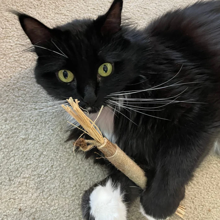 Review by Jessica R