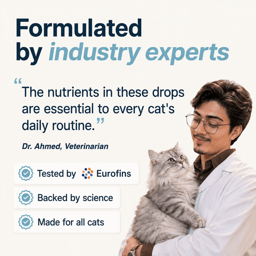 Renvia Kidney Support Drops for Cats — 5-in-1 Renal Formula