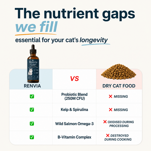 Renvia Kidney Support Drops for Cats — 5-in-1 Renal Formula