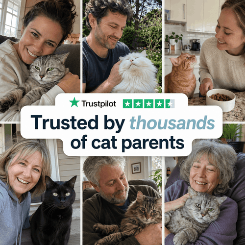 Renvia Kidney Support Drops for Cats — 5-in-1 Renal Formula